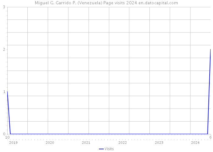 Miguel G. Garrido P. (Venezuela) Page visits 2024 