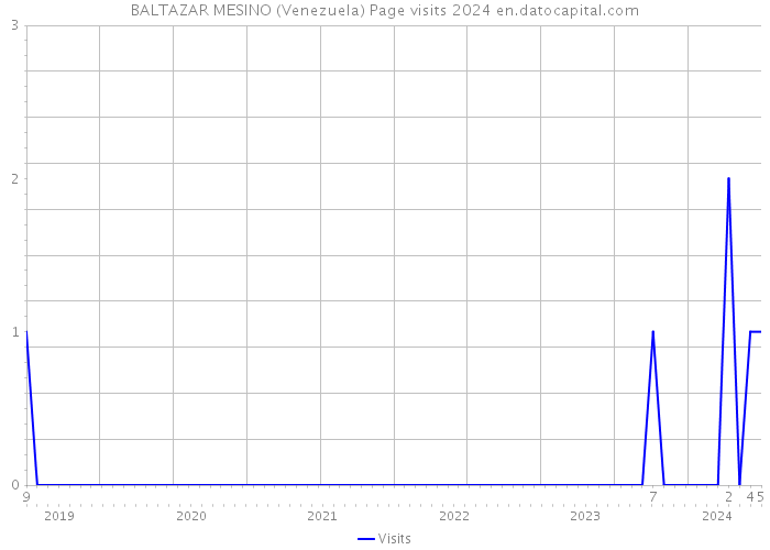 BALTAZAR MESINO (Venezuela) Page visits 2024 