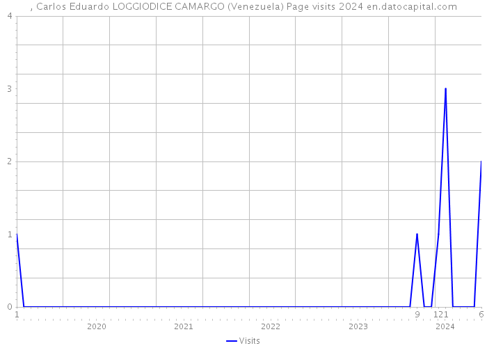 , Carlos Eduardo LOGGIODICE CAMARGO (Venezuela) Page visits 2024 