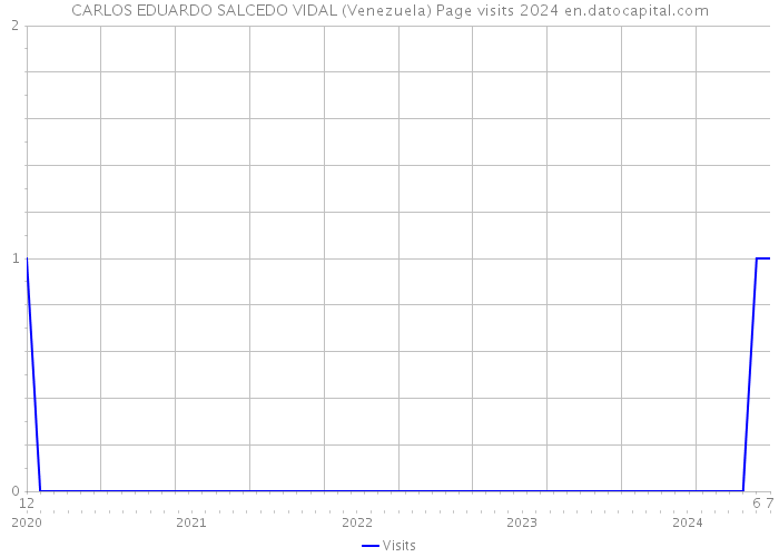 CARLOS EDUARDO SALCEDO VIDAL (Venezuela) Page visits 2024 