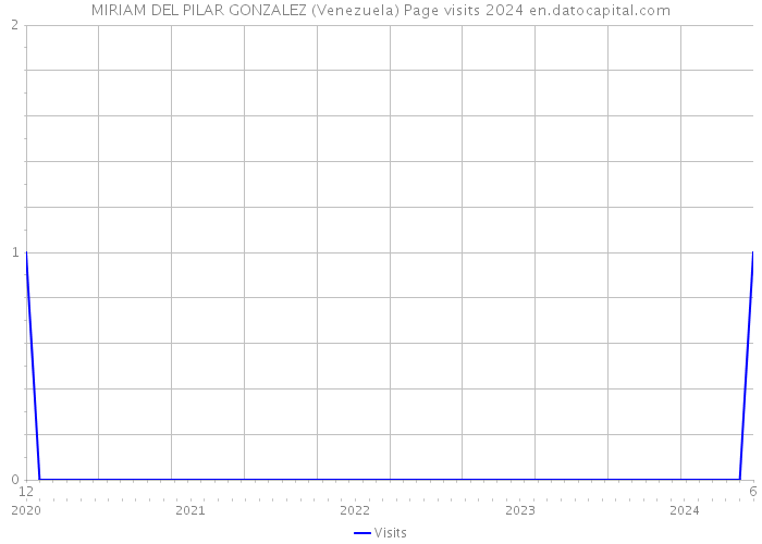MIRIAM DEL PILAR GONZALEZ (Venezuela) Page visits 2024 