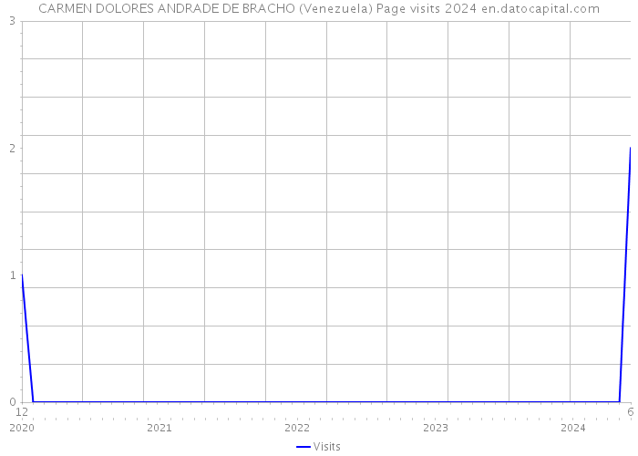 CARMEN DOLORES ANDRADE DE BRACHO (Venezuela) Page visits 2024 