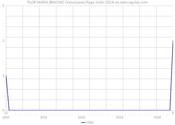 FLOR MARIA BRACHO (Venezuela) Page visits 2024 