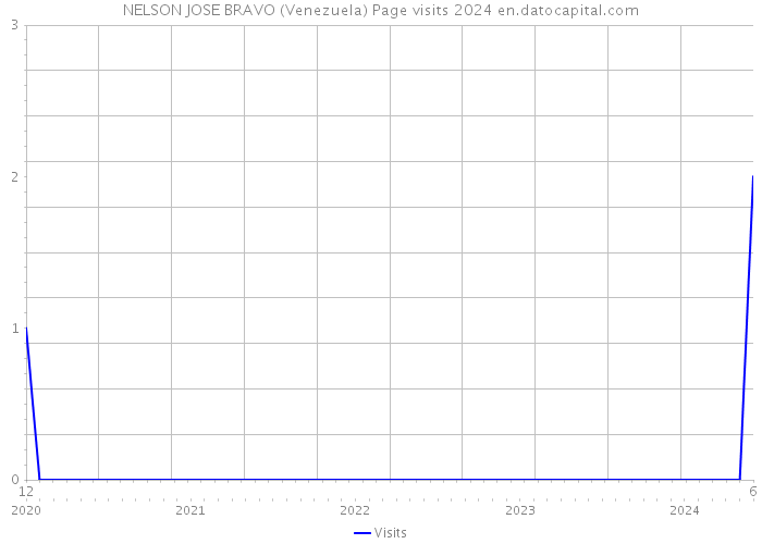 NELSON JOSE BRAVO (Venezuela) Page visits 2024 