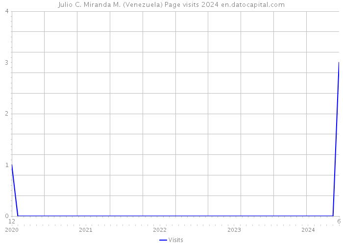 Julio C. Miranda M. (Venezuela) Page visits 2024 