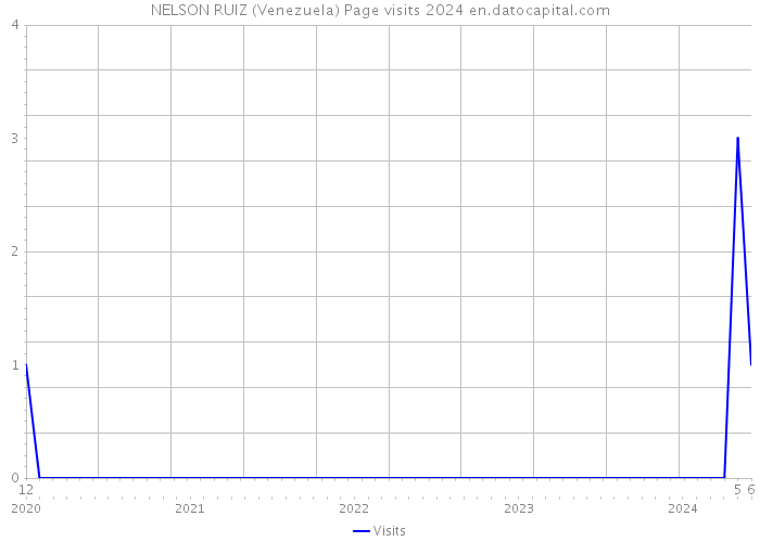 NELSON RUIZ (Venezuela) Page visits 2024 