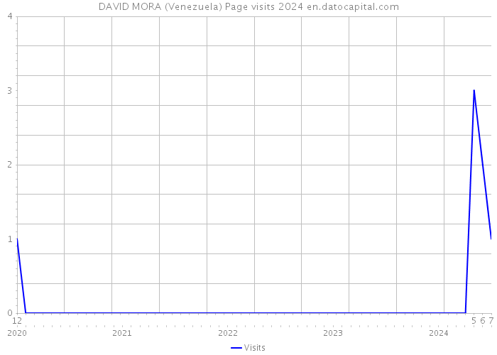 DAVID MORA (Venezuela) Page visits 2024 