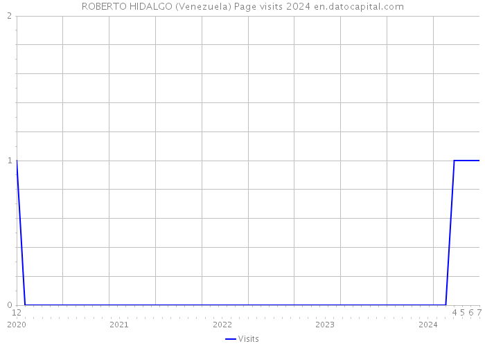 ROBERTO HIDALGO (Venezuela) Page visits 2024 