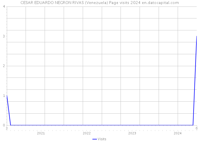 CESAR EDUARDO NEGRON RIVAS (Venezuela) Page visits 2024 