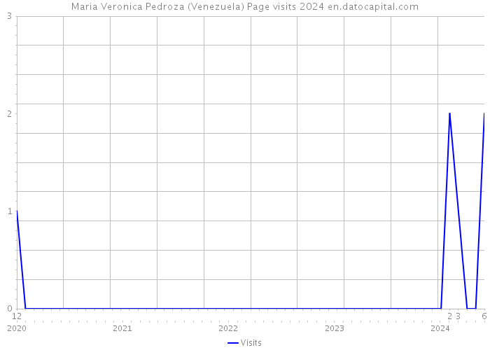 Maria Veronica Pedroza (Venezuela) Page visits 2024 