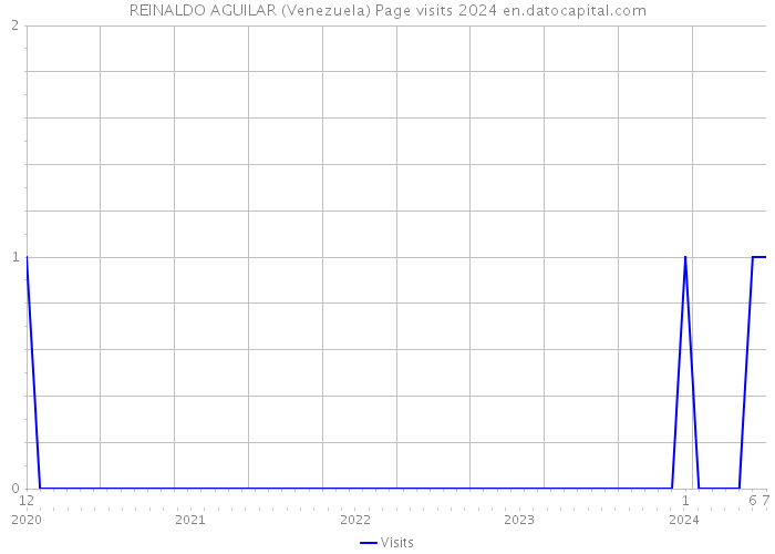 REINALDO AGUILAR (Venezuela) Page visits 2024 
