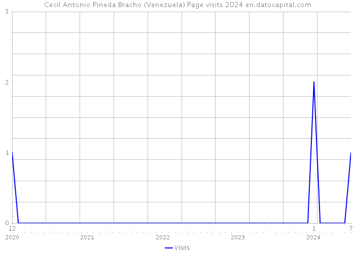 Cecil Antonio Pineda Bracho (Venezuela) Page visits 2024 