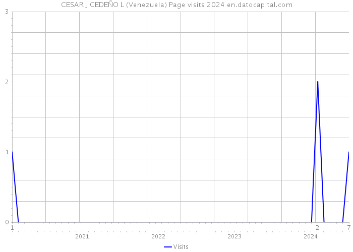 CESAR J CEDEÑO L (Venezuela) Page visits 2024 