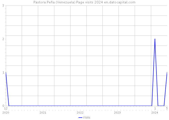 Pastora Peña (Venezuela) Page visits 2024 