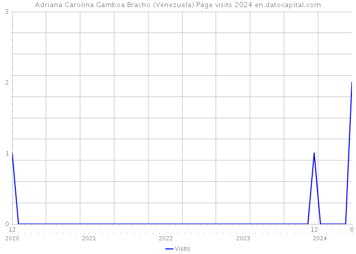 Adriana Carolina Gamboa Bracho (Venezuela) Page visits 2024 