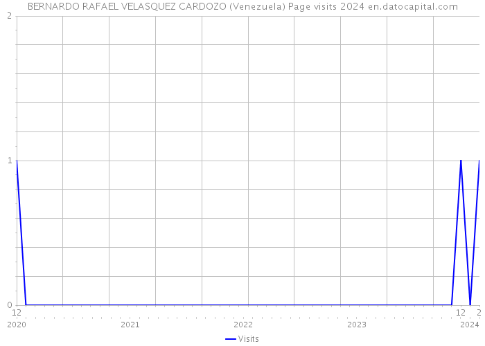 BERNARDO RAFAEL VELASQUEZ CARDOZO (Venezuela) Page visits 2024 