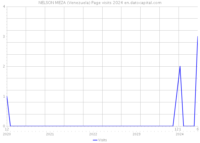 NELSON MEZA (Venezuela) Page visits 2024 
