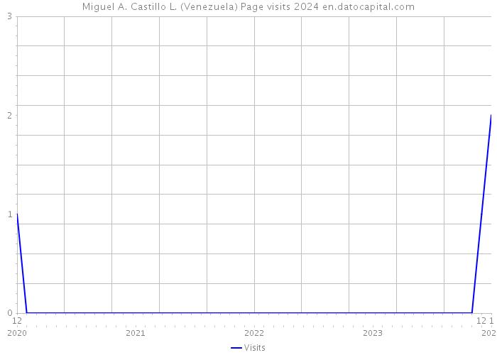 Miguel A. Castillo L. (Venezuela) Page visits 2024 