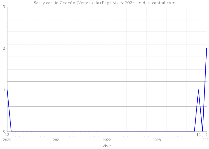 Bessy cecilia Cedeño (Venezuela) Page visits 2024 
