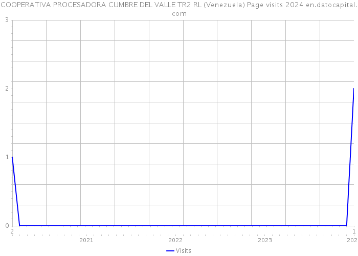COOPERATIVA PROCESADORA CUMBRE DEL VALLE TR2 RL (Venezuela) Page visits 2024 