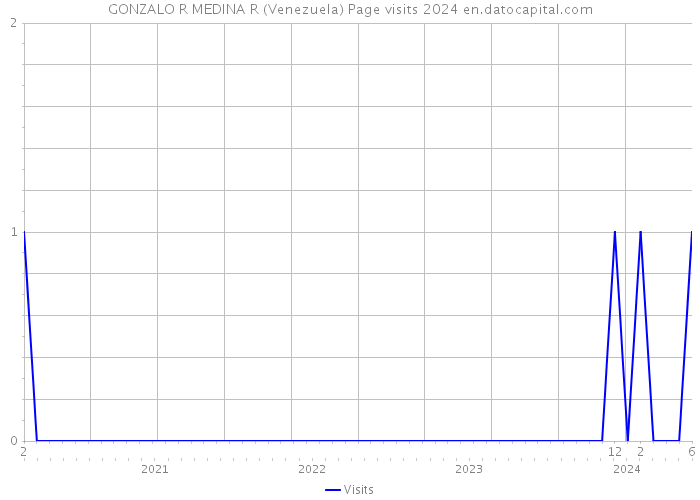 GONZALO R MEDINA R (Venezuela) Page visits 2024 