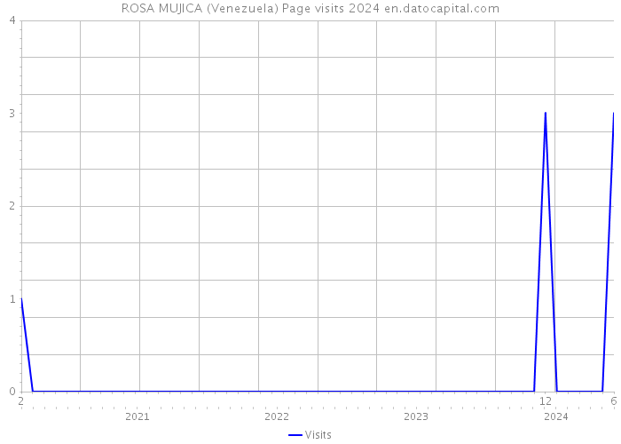 ROSA MUJICA (Venezuela) Page visits 2024 