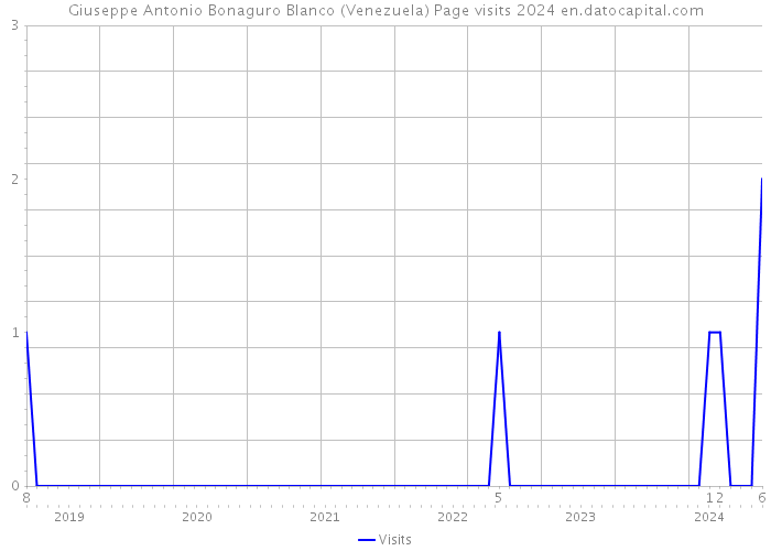 Giuseppe Antonio Bonaguro Blanco (Venezuela) Page visits 2024 