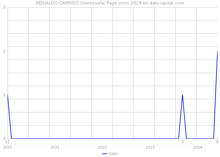 REINALDO GARRIDO (Venezuela) Page visits 2024 