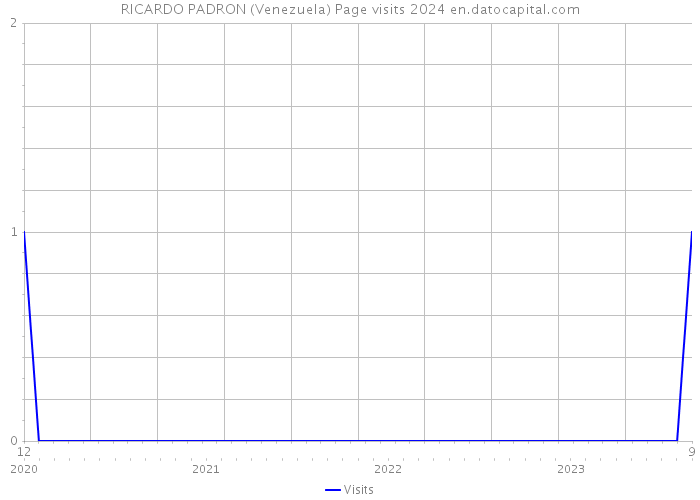 RICARDO PADRON (Venezuela) Page visits 2024 