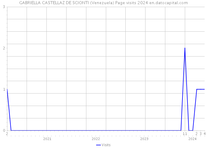 GABRIELLA CASTELLAZ DE SCIONTI (Venezuela) Page visits 2024 