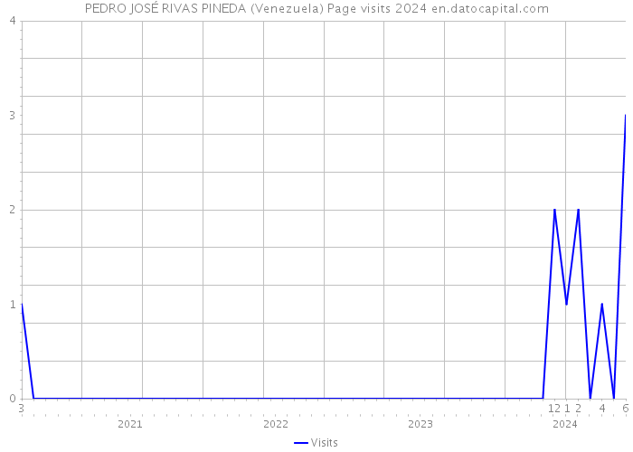 PEDRO JOSÉ RIVAS PINEDA (Venezuela) Page visits 2024 