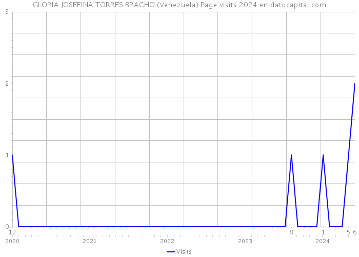 GLORIA JOSEFINA TORRES BRACHO (Venezuela) Page visits 2024 
