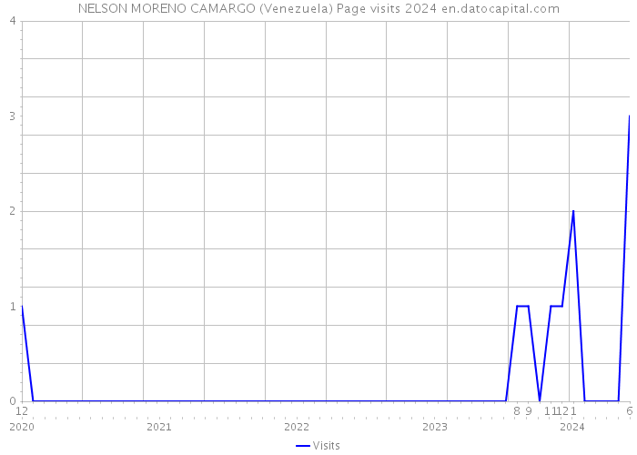 NELSON MORENO CAMARGO (Venezuela) Page visits 2024 