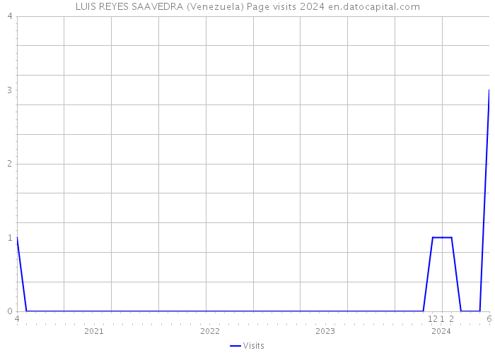 LUIS REYES SAAVEDRA (Venezuela) Page visits 2024 