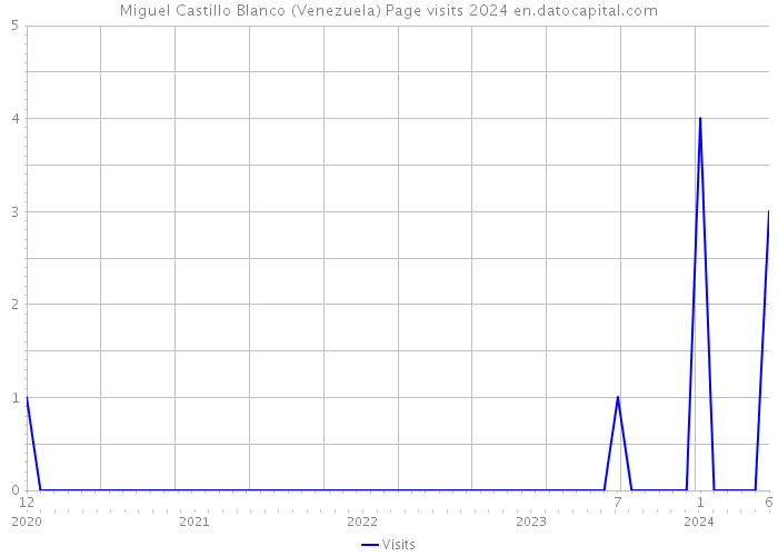 Miguel Castillo Blanco (Venezuela) Page visits 2024 