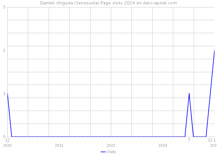 Dameli chiguita (Venezuela) Page visits 2024 