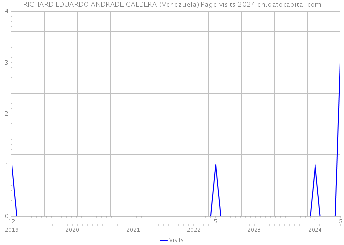 RICHARD EDUARDO ANDRADE CALDERA (Venezuela) Page visits 2024 