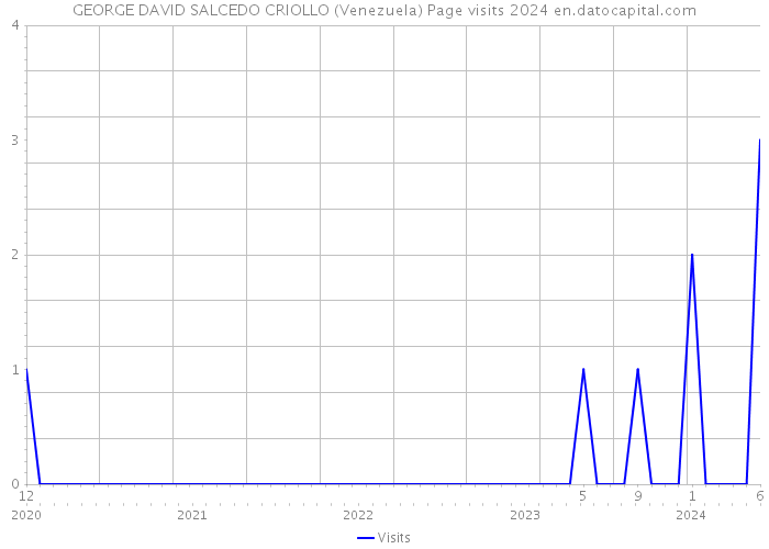 GEORGE DAVID SALCEDO CRIOLLO (Venezuela) Page visits 2024 
