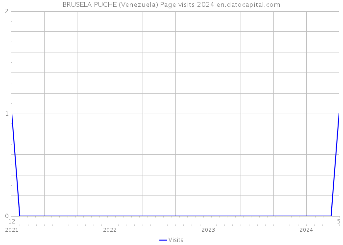 BRUSELA PUCHE (Venezuela) Page visits 2024 
