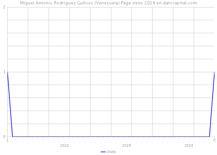 Miguel Antonio Rodriguez Gulloso (Venezuela) Page visits 2024 