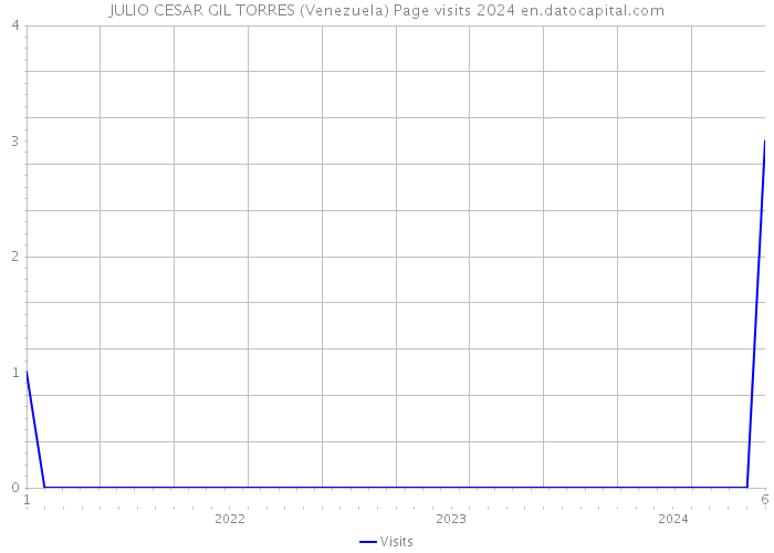 JULIO CESAR GIL TORRES (Venezuela) Page visits 2024 