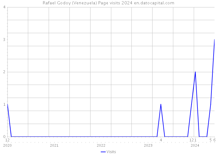 Rafael Godoy (Venezuela) Page visits 2024 