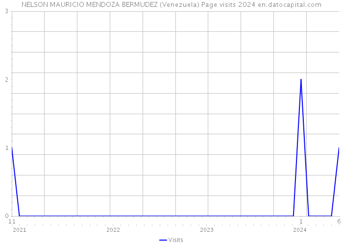 NELSON MAURICIO MENDOZA BERMUDEZ (Venezuela) Page visits 2024 