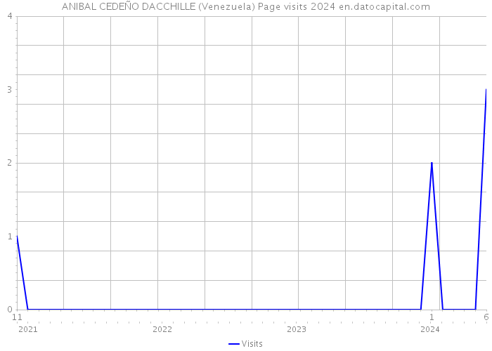 ANIBAL CEDEÑO DACCHILLE (Venezuela) Page visits 2024 