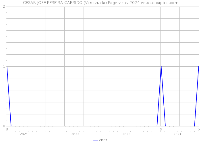 CESAR JOSE PEREIRA GARRIDO (Venezuela) Page visits 2024 