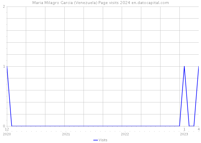 Maria Milagro Garcia (Venezuela) Page visits 2024 