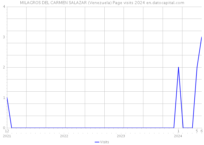 MILAGROS DEL CARMEN SALAZAR (Venezuela) Page visits 2024 