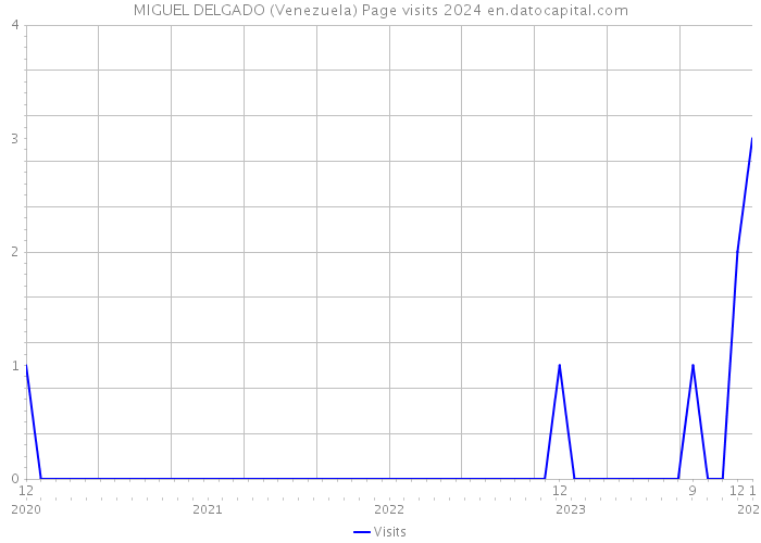 MIGUEL DELGADO (Venezuela) Page visits 2024 