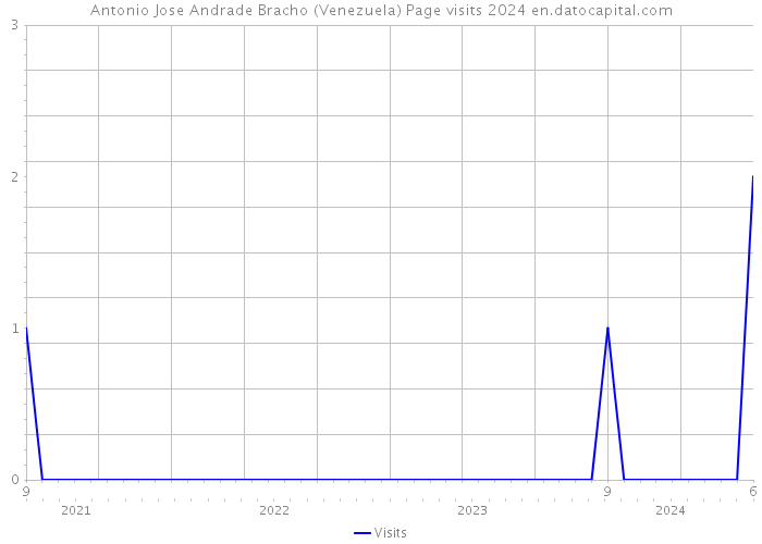 Antonio Jose Andrade Bracho (Venezuela) Page visits 2024 