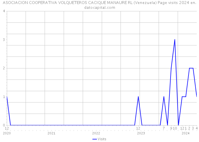 ASOCIACION COOPERATIVA VOLQUETEROS CACIQUE MANAURE RL (Venezuela) Page visits 2024 